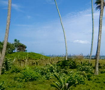 property house beach