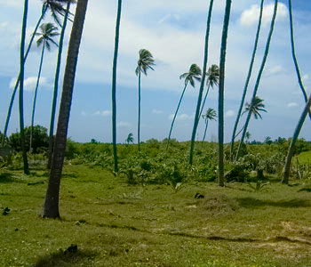 property house beach