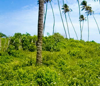 property house beach