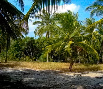 tangalla beach