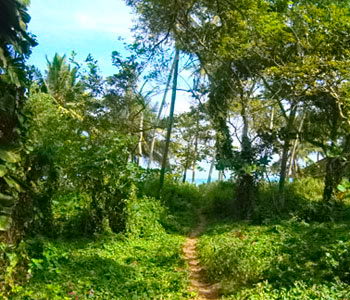 tangalla beach