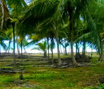 tangalla beach