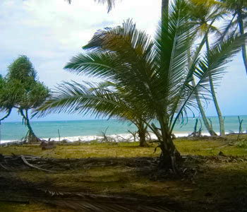 tangalla beach