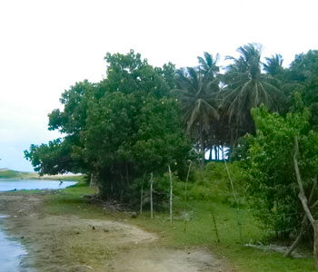 tangalla beach