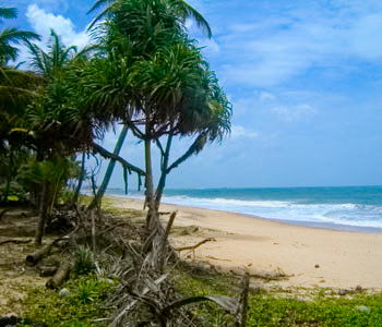 tangalla beach