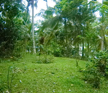 Real estate Weligama Mirissa