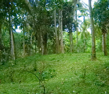 Real estate Weligama Mirissa