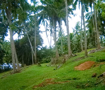 Real estate Weligama Mirissa