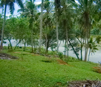Real estate Weligama Mirissa