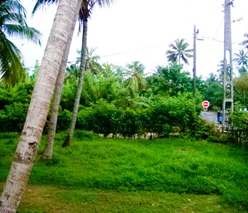Real estate Weligama Mirissa