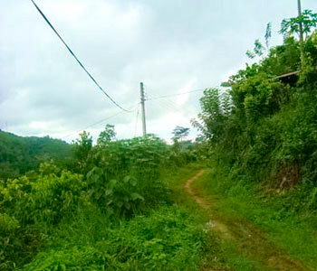 Real estate Weligama Mirissa