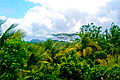 Real estate Weligama Mirissa