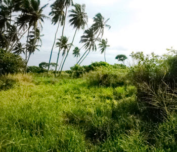 Properties Sri Lanka