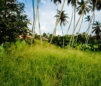 Properties Sri Lanka