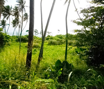 Properties Sri Lanka