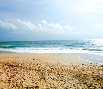 Properties Sri Lanka