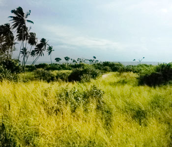 Properties Sri Lanka