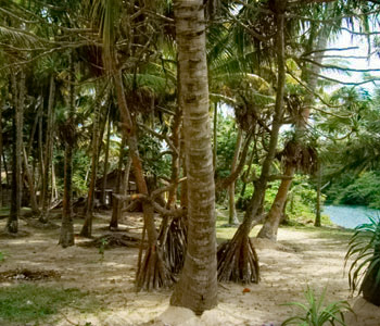 Properties Sri Lanka