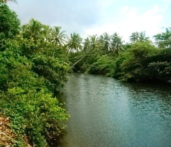 Properties Sri Lanka