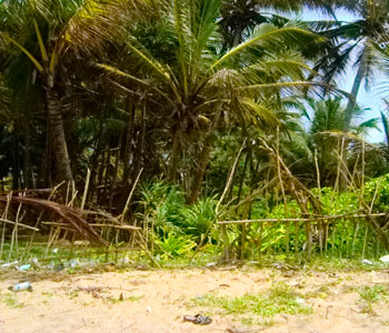 Properties Sri Lanka