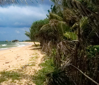 Properties Sri Lanka