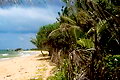 Property Sri Lanka Beach