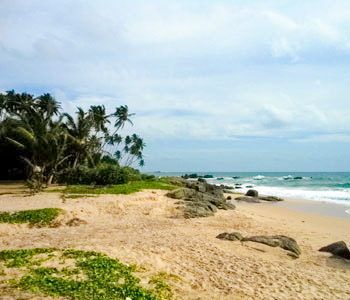 Real Estate Sri Lanka