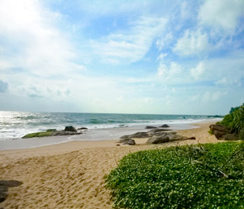 Real Estate Sri Lanka
