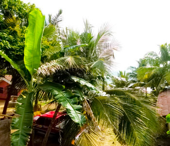 Real Estate Sri Lanka