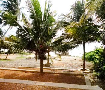 Real Estate Sri Lanka