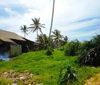 Real Estate Sri Lanka
