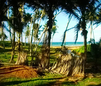 Properties Sri Lanka