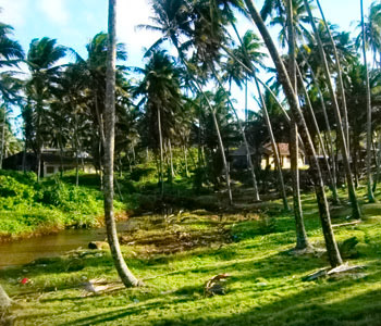 Properties Sri Lanka