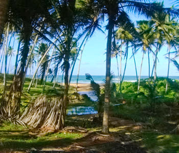 Properties Sri Lanka