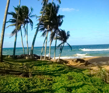 Properties Sri Lanka