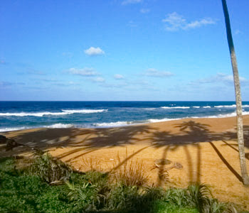 Properties Sri Lanka
