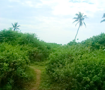 Real Estate Sri Lanka