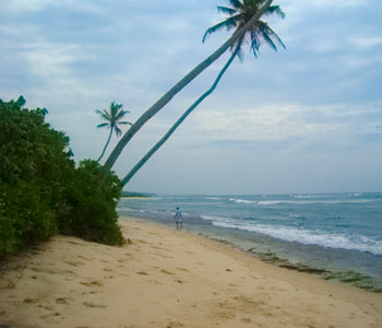 Real Estate Sri Lanka