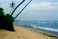 Property Sri Lanka Beach