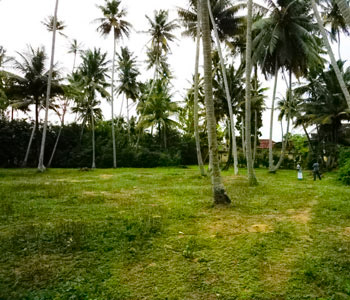 real estate sri lanka