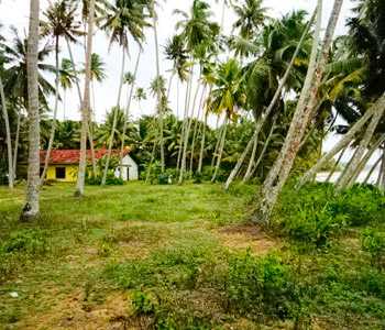 real estate sri lanka