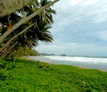 real estate sri lanka