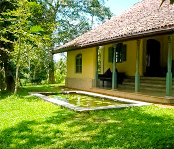 Property Sri Lanka