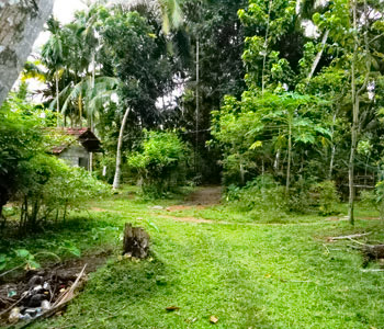 Property Sri Lanka