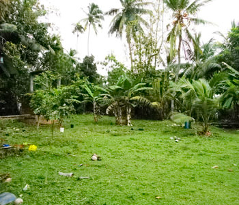 Property Sri Lanka