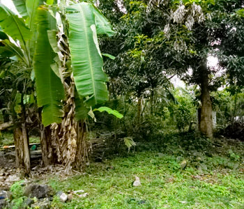 Property Sri Lanka