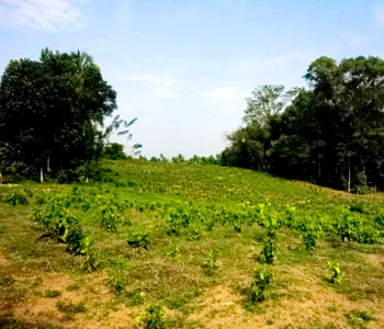 Property Sri Lanka