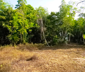Property Sri Lanka