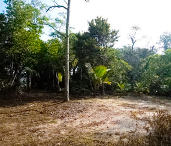 Property Sri Lanka