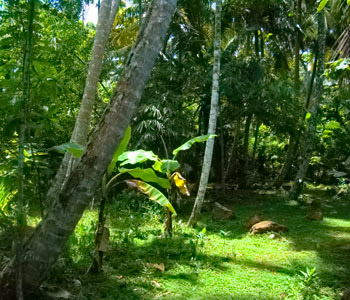 Property Sri Lanka